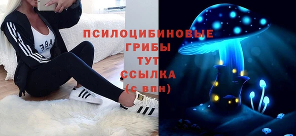 дмт Переславль-Залесский