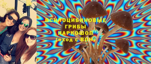 соль ск Пестово