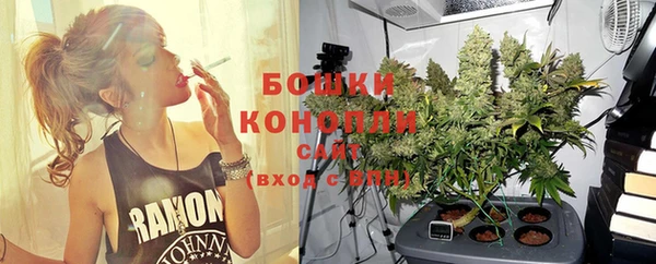 винт Пересвет