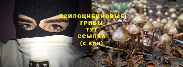 дмт Переславль-Залесский