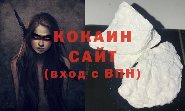винт Пересвет
