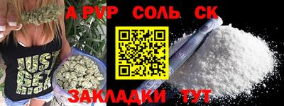 spice Новодвинск