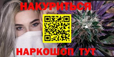 spice Новодвинск