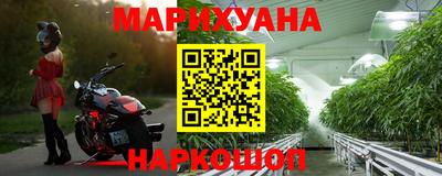 ECSTASY Новозыбков