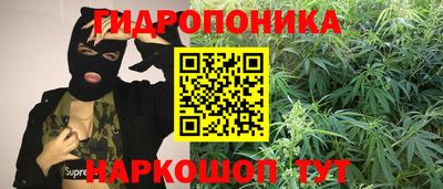 ECSTASY Новозыбков