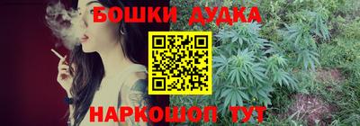 ECSTASY Новозыбков
