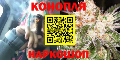 ECSTASY Новозыбков