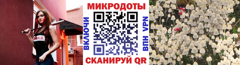 Купить закладки  Славянск-на-Кубани  Галлюциногенные грибы прущие грибы 