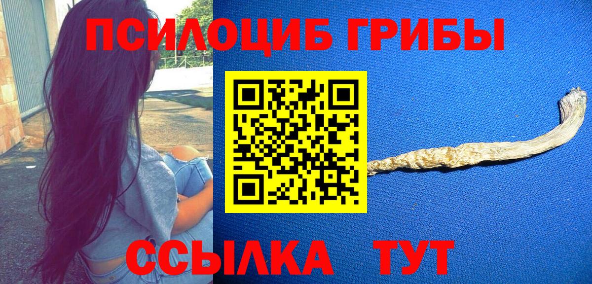 Галлюциногенные грибы MAGIC MUSHROOMS  Псилоцибиновые грибы Psilocybe  Славянск-на-Кубани 