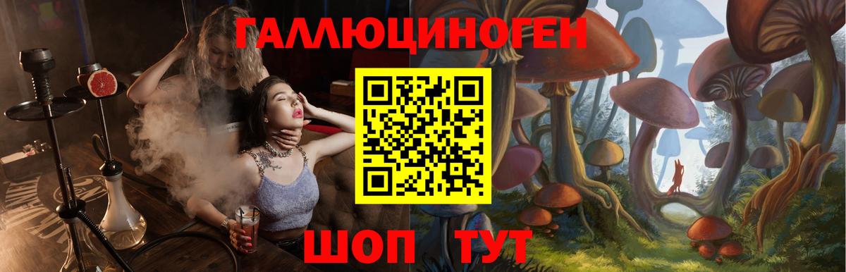 Галлюциногенные грибы прущие грибы  Псилоцибиновые грибы мицелий  Славянск-на-Кубани  Вход с VPN 